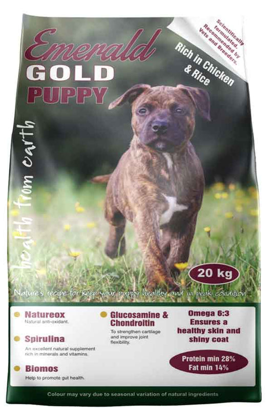 Emerald Gold Puppy - V23631